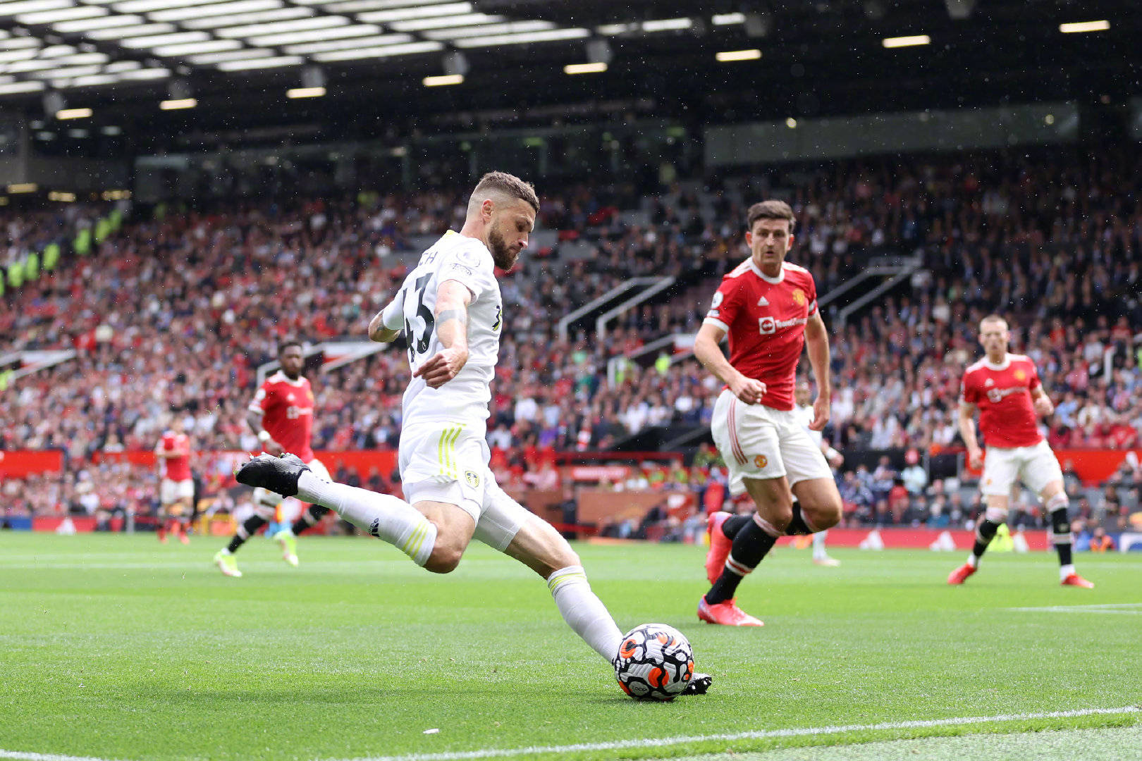 增添了亮点 增添了亮点